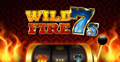 Bet Warrior wild fire 7